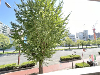 【展望】 | ダイアパレス南堀江