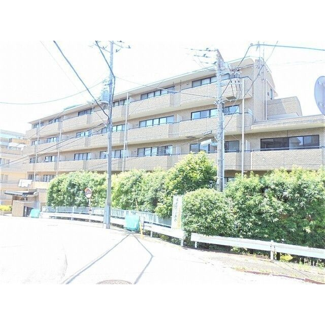 ジュノーヒル