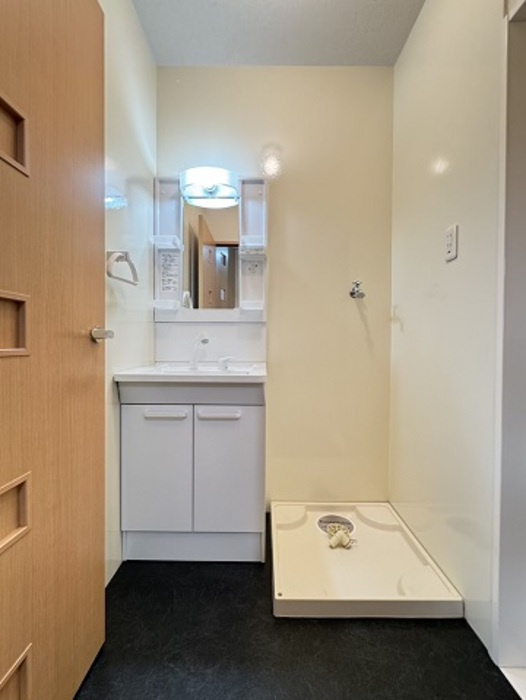 クレールレセンテA棟の洗面所