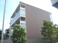 プリマベーラオオナリの画像