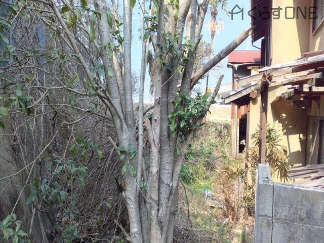 【その他】 | 姫路市花田町一本松／売土地