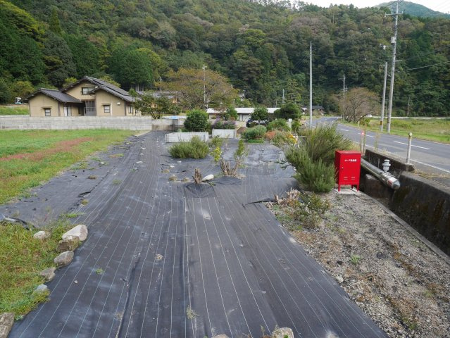 苫田郡鏡野町寺和田　売土地98.9坪の外観