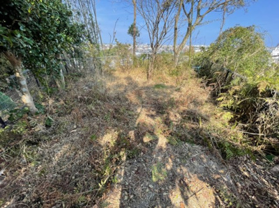  | 宮崎市大塚台東2丁目