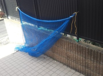 ヒロⅡのその他共用部分