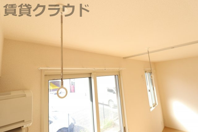 フェリオ・ヴィアーレのその他