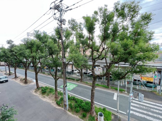 【展望】 | 緑が見えるだけで心が癒されます♪