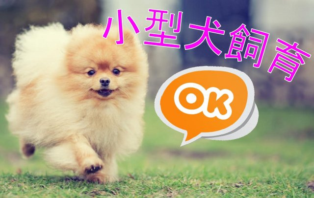 【その他】 | エステムコート阿波座プレミアム