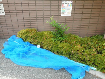 【その他共用部分】 | エミネンス高野台