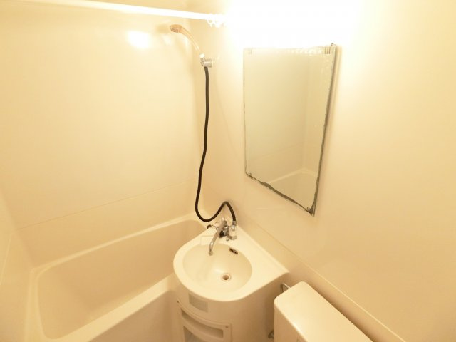 RIZEONE富田林レジデンスⅠの洗面所