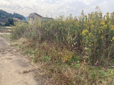 【外観】 | つくば市神郡売地