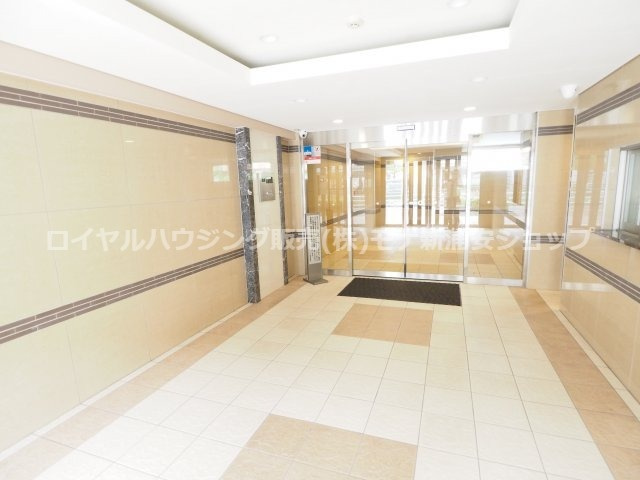 の-の画像