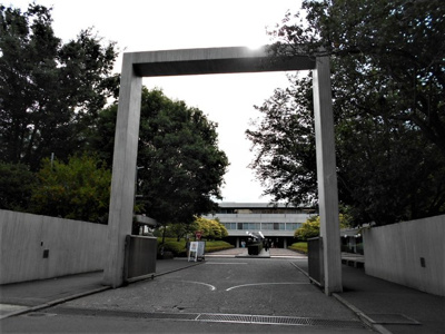大学