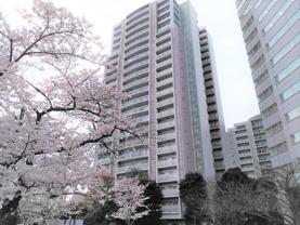 文京グリーンコートビュータワー本駒込B棟の画像