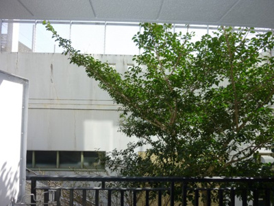 【展望】 | オークリッチ飛鳥