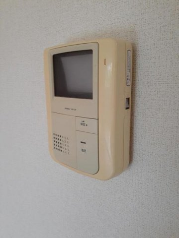 ラモーリ緑のその他