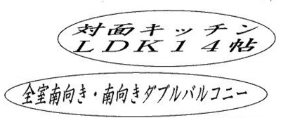 【前面道路含む現地写真】 | 海老名市下今泉4丁目　新築戸建て　全１棟　【仲介手数料無料】