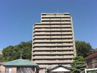 グレイス山根の画像