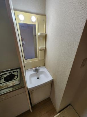 ルーセント二条の洗面所