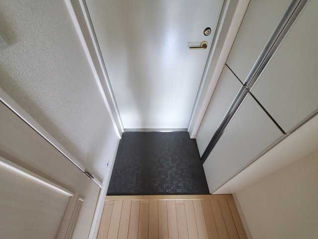 ダイワティアラ津田沼Ⅴの玄関