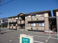 ウィルモア石井・の画像