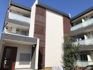 リブリ・もちの木の画像