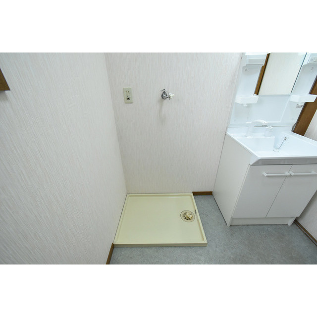 パークハイツミズマ【10,000円キャッシュバック対象物件】の洗面所