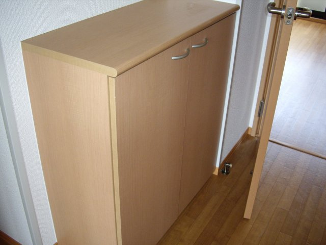 アメニティースペースの収納|シューズボックス