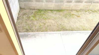 【庭】 | シャーメゾン金龍寺丁