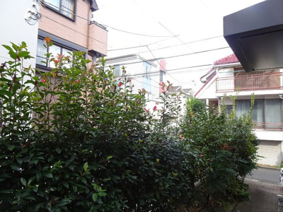 【展望】 | エスエフファミール