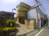 センチュリーショウエイ5の画像