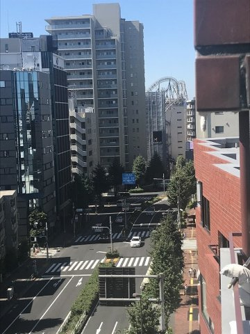 【展望】