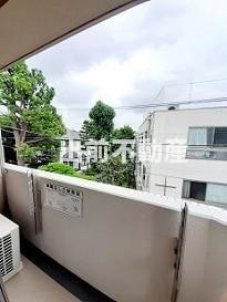 【展望】 | セレッソ 和 Ⅳ