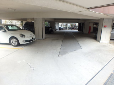 【駐車場】 | シロハイヌ門戸