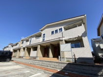 チェリー ブロッサムの画像