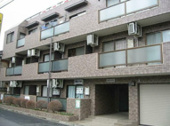 グレイスコアの画像