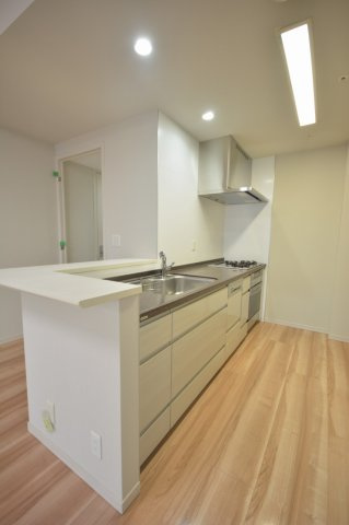 アートアルテールコンドミニアムフロアのキッチン