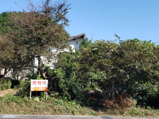 【前面道路含む現地写真】 | 鳥取市鹿野町今市中古戸建て