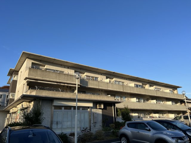 ニューラフィーネの外観