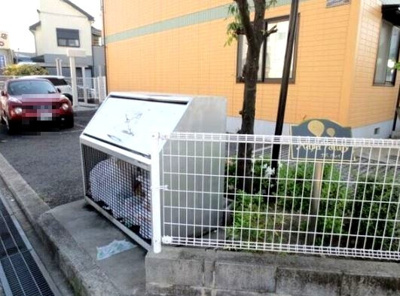 【エントランス】 | ナパバレイ