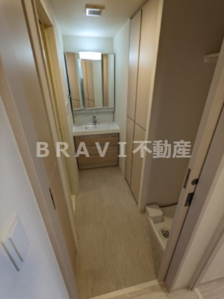 Dimus北浜（ディームスキタハマ）　BRAVI不動産の洗面所