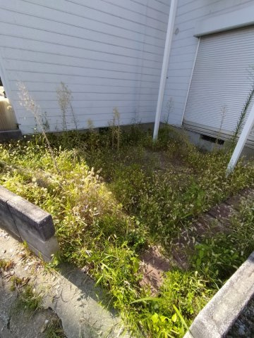 モンテメールⅠの庭