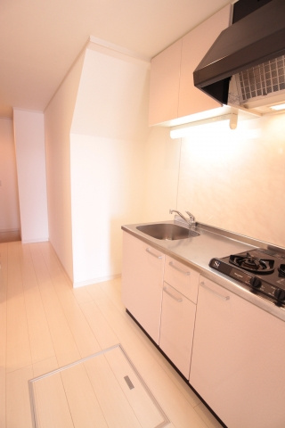 シュエットのその他