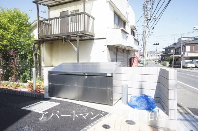 シャイニーの周辺