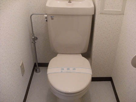 ハウプトブルクのトイレ|トイレも気になるポイント