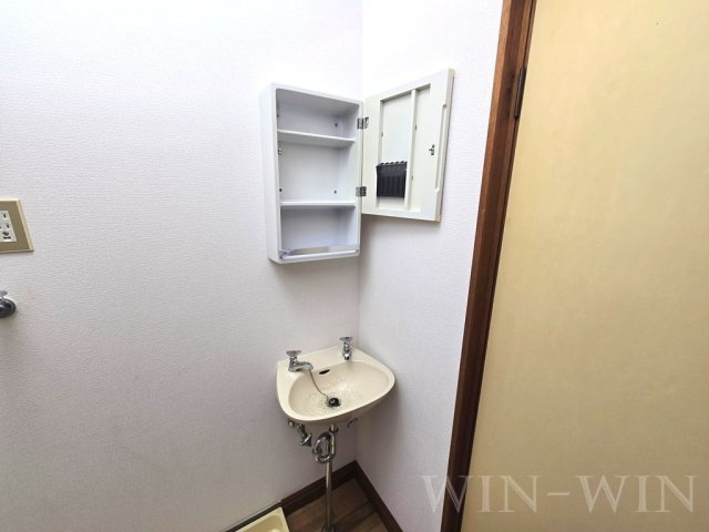 三栄マンションの洗面所