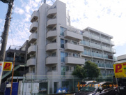 トップ蓮根の画像