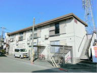 コスモエイトの画像