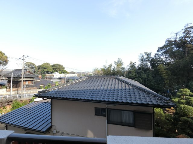 【展望】