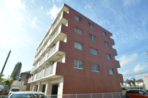 プリマベーラ７７の画像