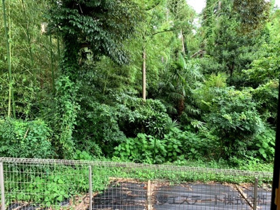 【展望】 | ヴェルドミールⅡ